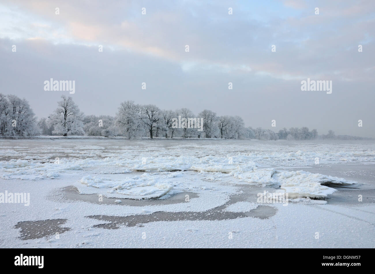 Schnee und Eis auf der Elbe an einem kalten Wintermorgen, in der Nähe von Dessau-Roßlau, Sachsen-Anhalt Stockfoto