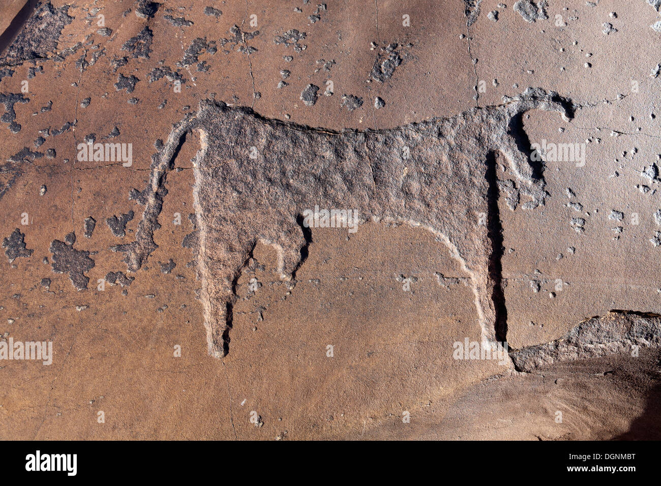 Schönes Bild von Bull im Bereich der prähistorischen Felszeichnungen in Oukaimeden Skigebiet im hohen Atlas-Gebirge in Marokko Stockfoto