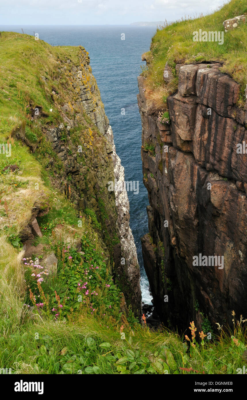 Klippen, Handa Island, Schottland, Vereinigtes Königreich Stockfoto