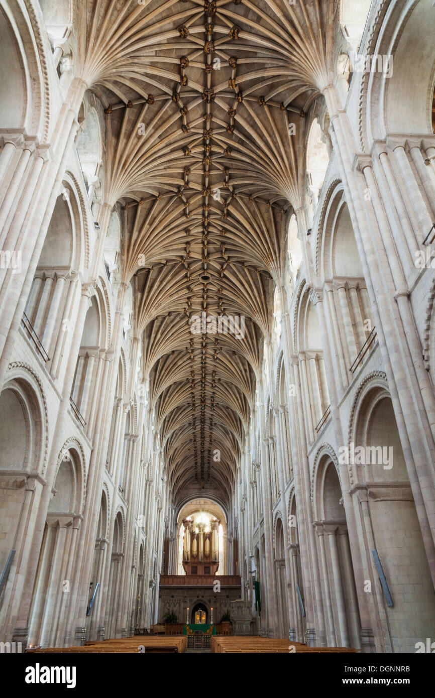 England, East Anglia, Norfolk, Norwich, Norwich Kathedrale, innen Stockfoto