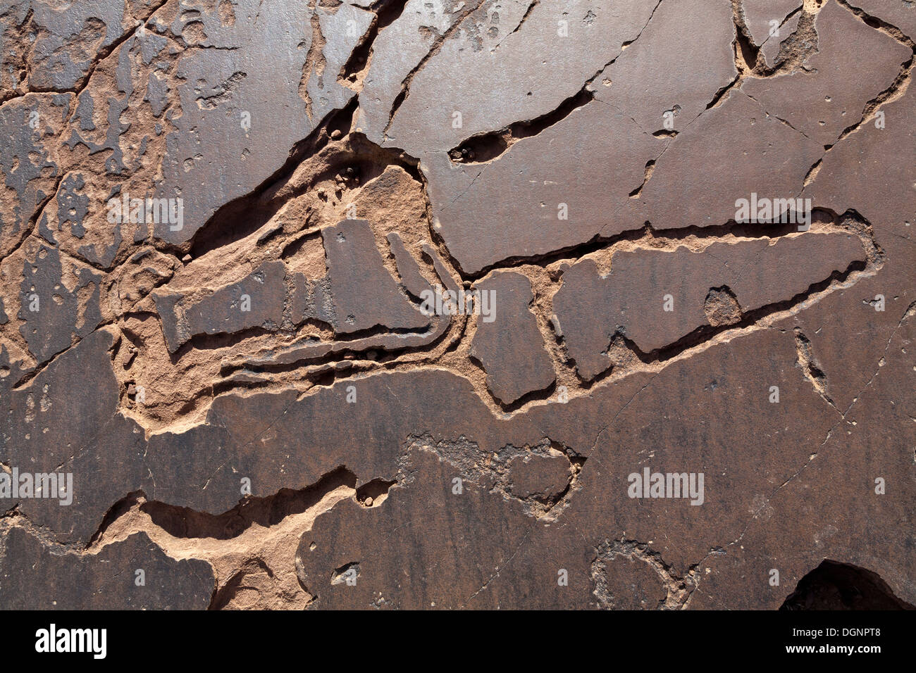 Prähistorische Felszeichnungen in Oukaimeden Skigebiet im hohen Atlas-Gebirge in Marokko Stockfoto