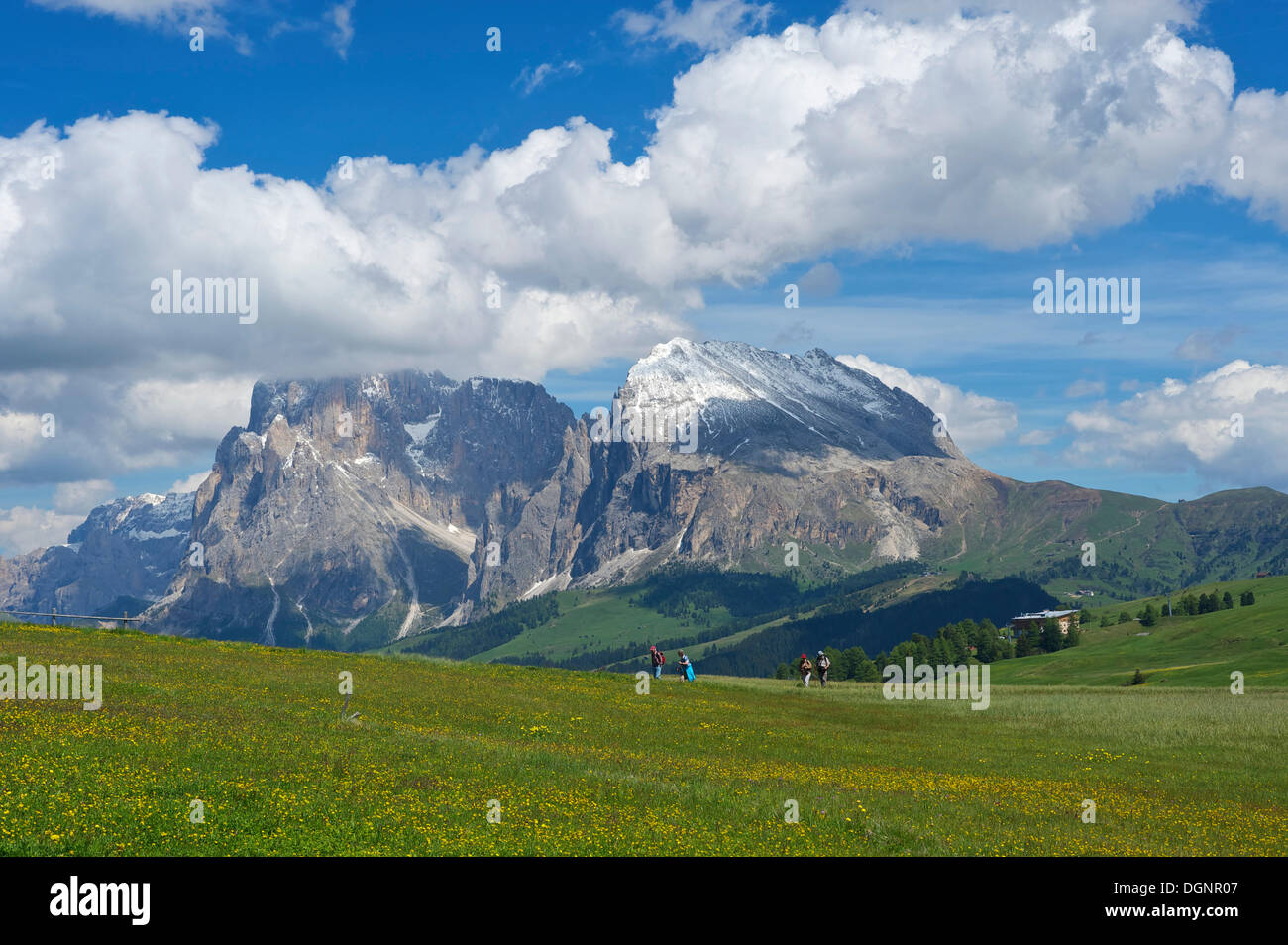 Seiser Alm alpine Weiden vor Piatto Berg und Sasso Lungo Berge, Dolomiten, Südtirol-Provinz Stockfoto