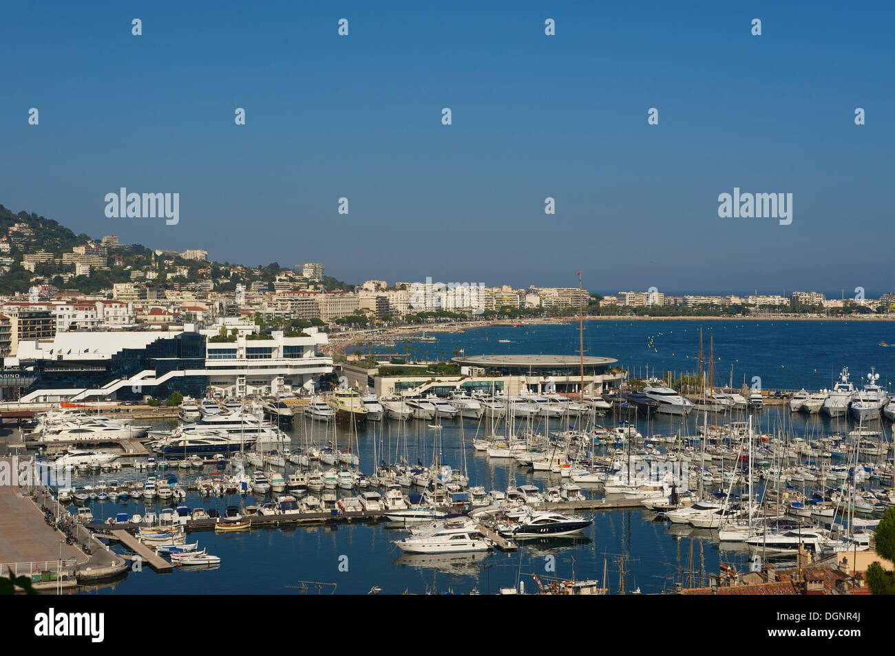 Marina, Cannes, Côte d ' Azur, Alpes-Maritimes, Provence-Alpes-Côte d ' Azur, Frankreich Stockfoto