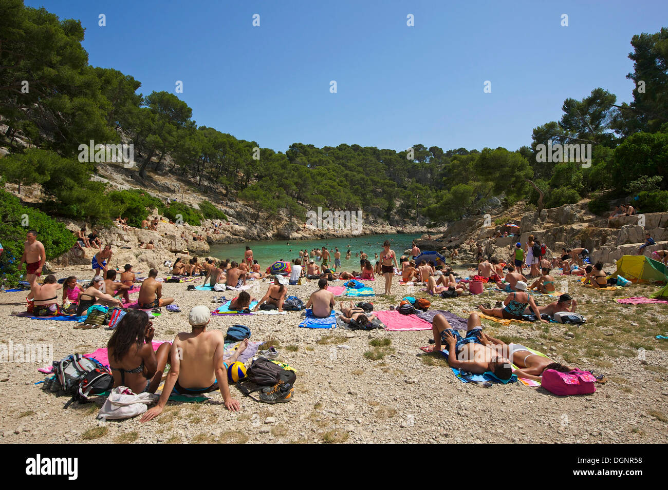 Badegäste am Strand in der Calanque de Port-Pin Bucht, Region, Département Bouches-du-Rhône, Cassis, Calanques Nationalpark Stockfoto