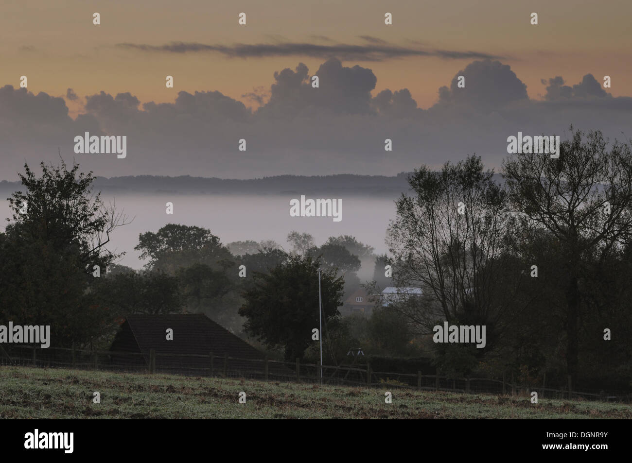 East Sussex, UK. 24. Oktober 2013. Am frühen Morgennebel liegt im Rother Tal zwischen Stonegate und Burwash. Ein ruhiger Morgen als letzter mit wenig Wind und niedrigere Temperatur. Das ruhige Wetter kommt nach Sturm das Land früher in der Woche fegte. Bildnachweis: David Burr/Alamy Live-Nachrichten Stockfoto
