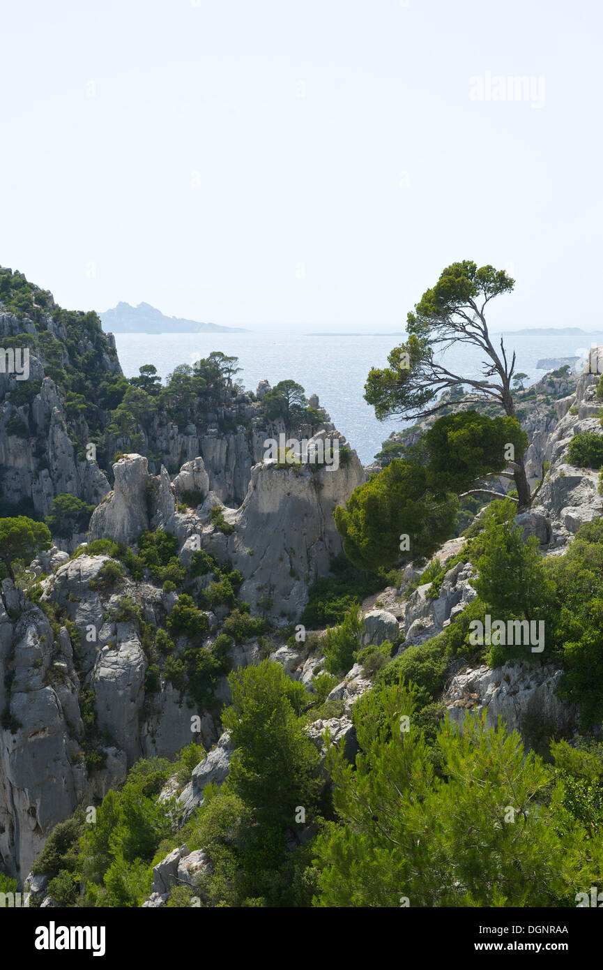 Karst-Felsen in der felsigen Bucht Calanque d ' en-Vau, Region, Département Bouches-du-Rhône, Cassis, Calanques Nationalpark Stockfoto