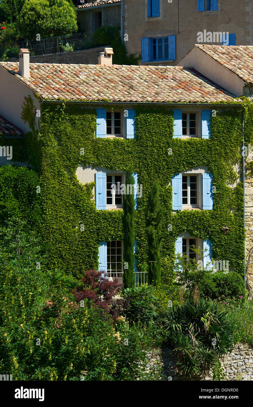 Efeuumranktes Haus in einem Dorf, Provence, Aurel, Département Vaucluse, Provence-Alpes-Côte d ' Azur, Frankreich Stockfoto