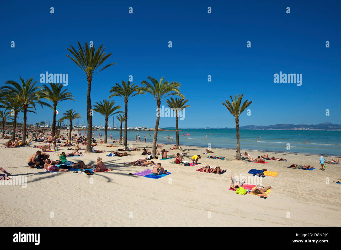Touristen am Strand von Playa de s' Arenal, S'Arenal, Palma De Mallorca, Mallorca, Balearen, Spanien Stockfoto