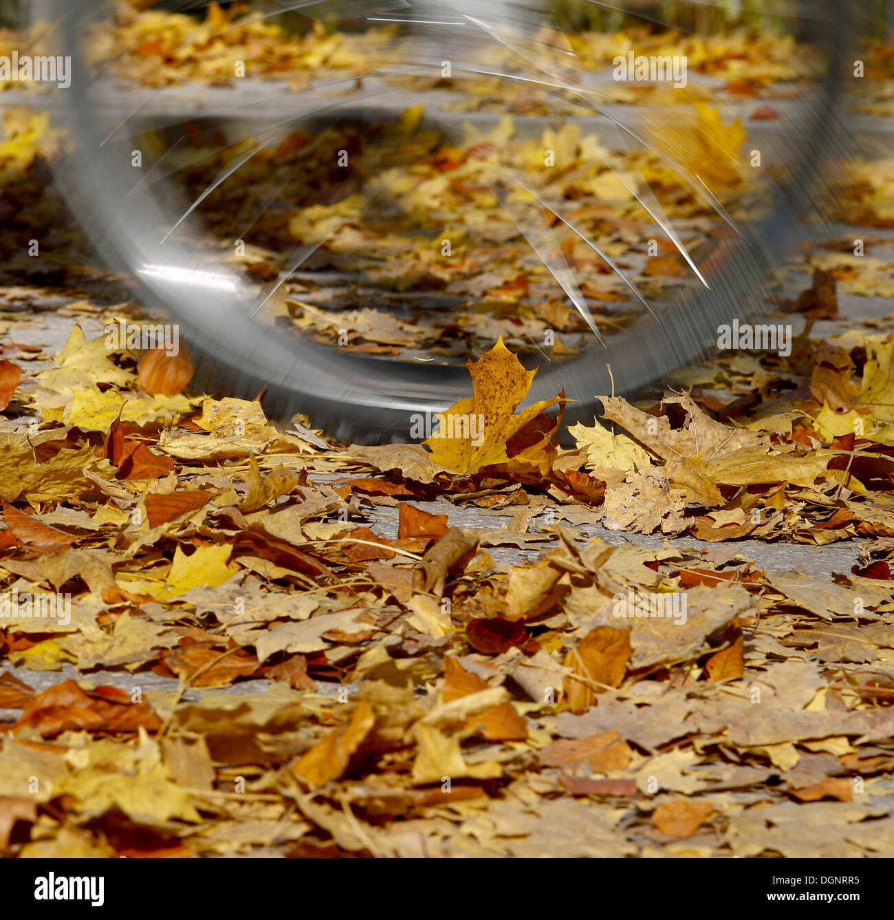 Bicycle Driving Stockfotos Bicycle Driving Bilder Alamy