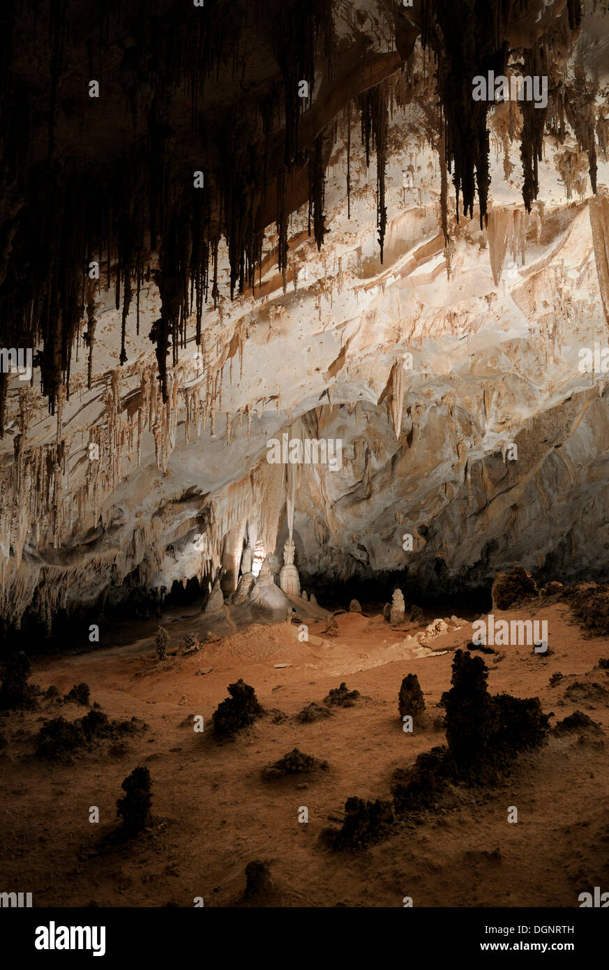 Höhle, Carlsbad Caverns National Park, New Mexico, USA Stockfoto