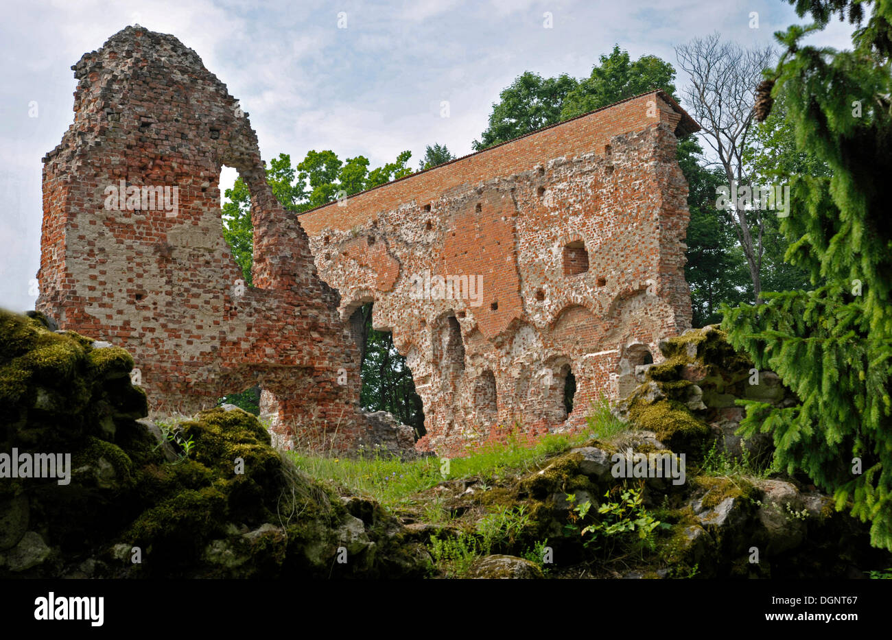 Viljandi Burgruine, Burg des Ordens der Kreuzritter, die Brüder Schwert, Viljandi, Estland, Baltikum Stockfoto