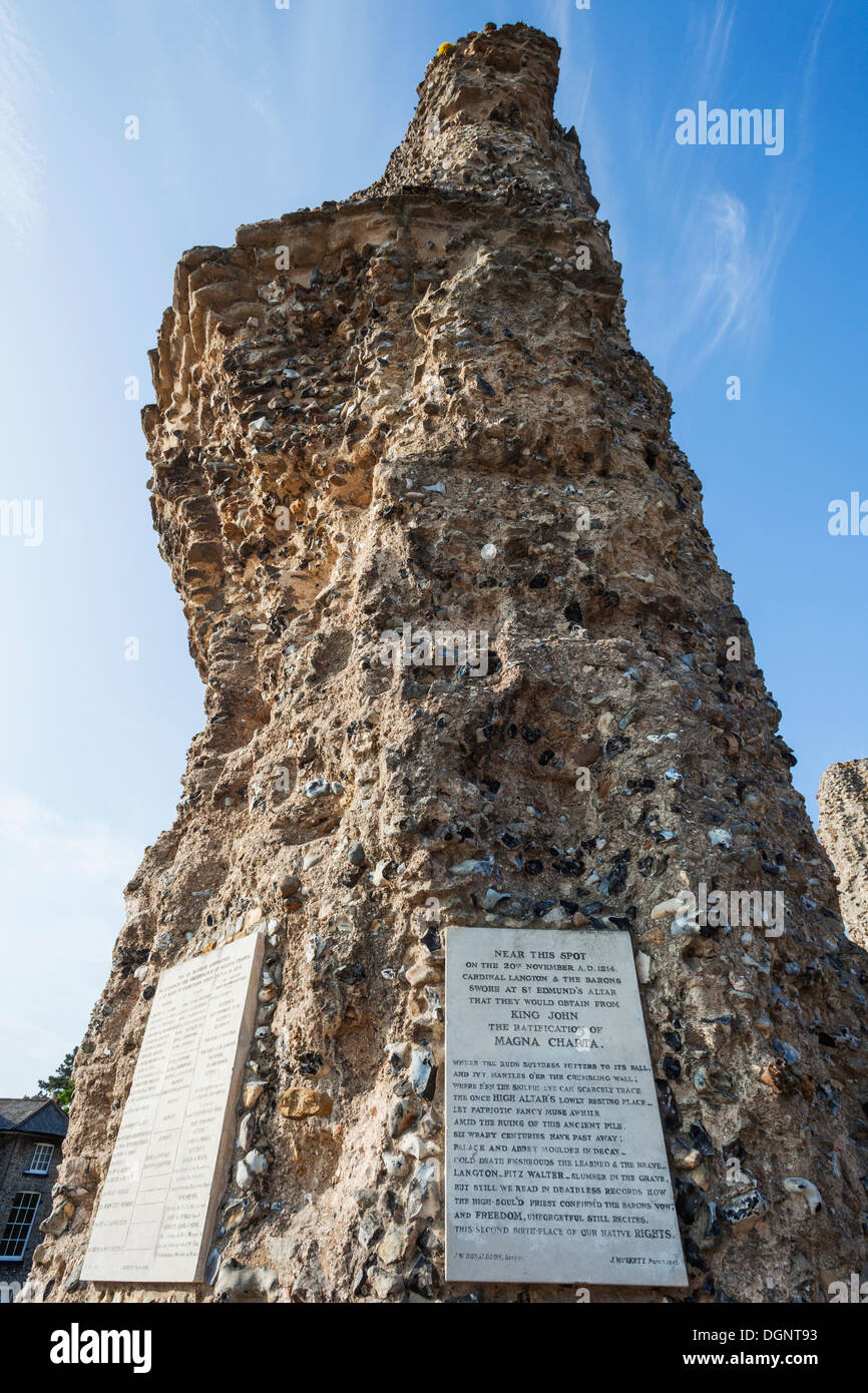 Die Abtei Ruinen, Plakette markiert die Stelle, wo Kardinal Langton abgerufen Ratifizierung der Magna Carta von König John Stockfoto