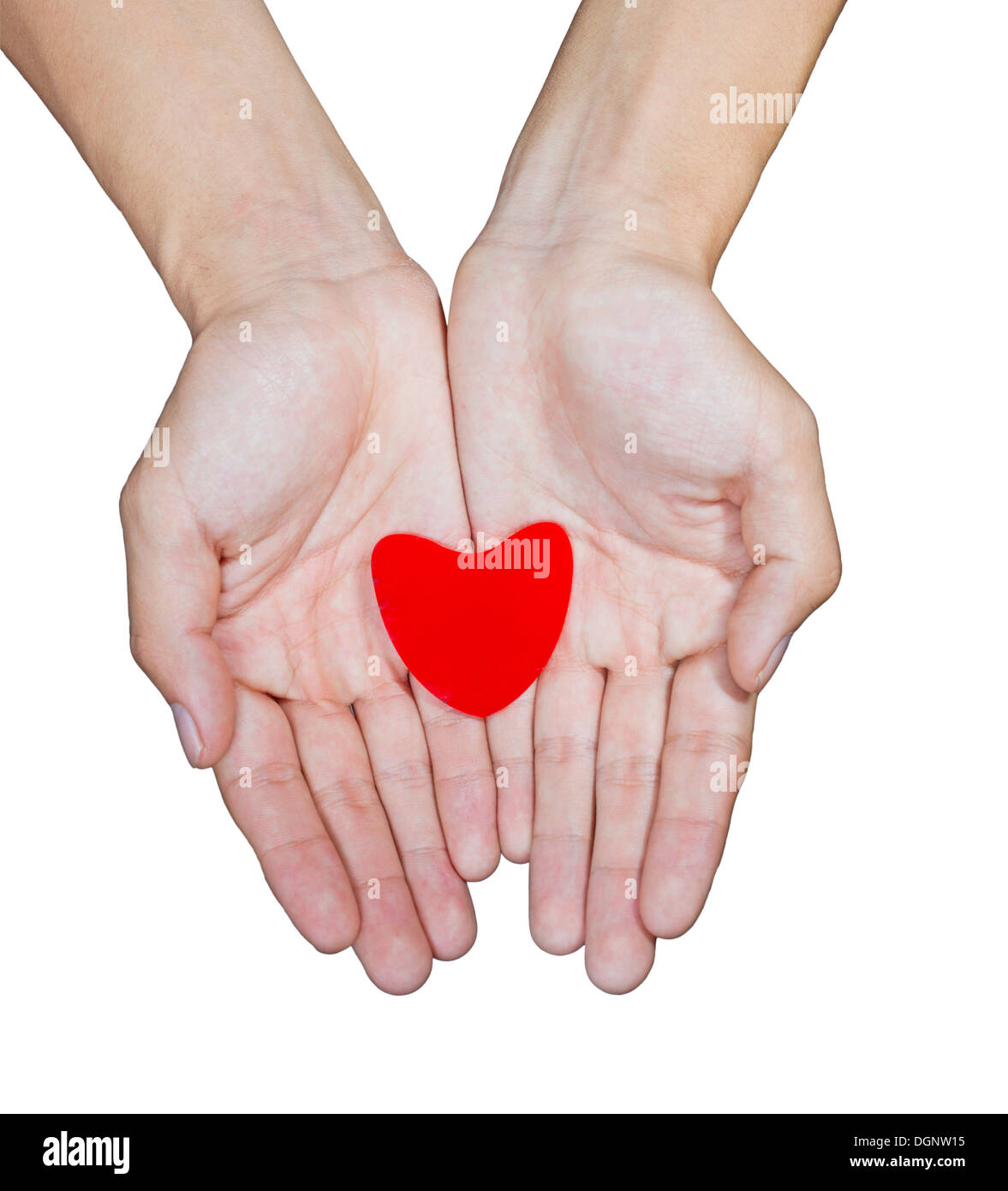 Liebe-Konzept. ein rotes Herz hält in Händen. Stockfoto