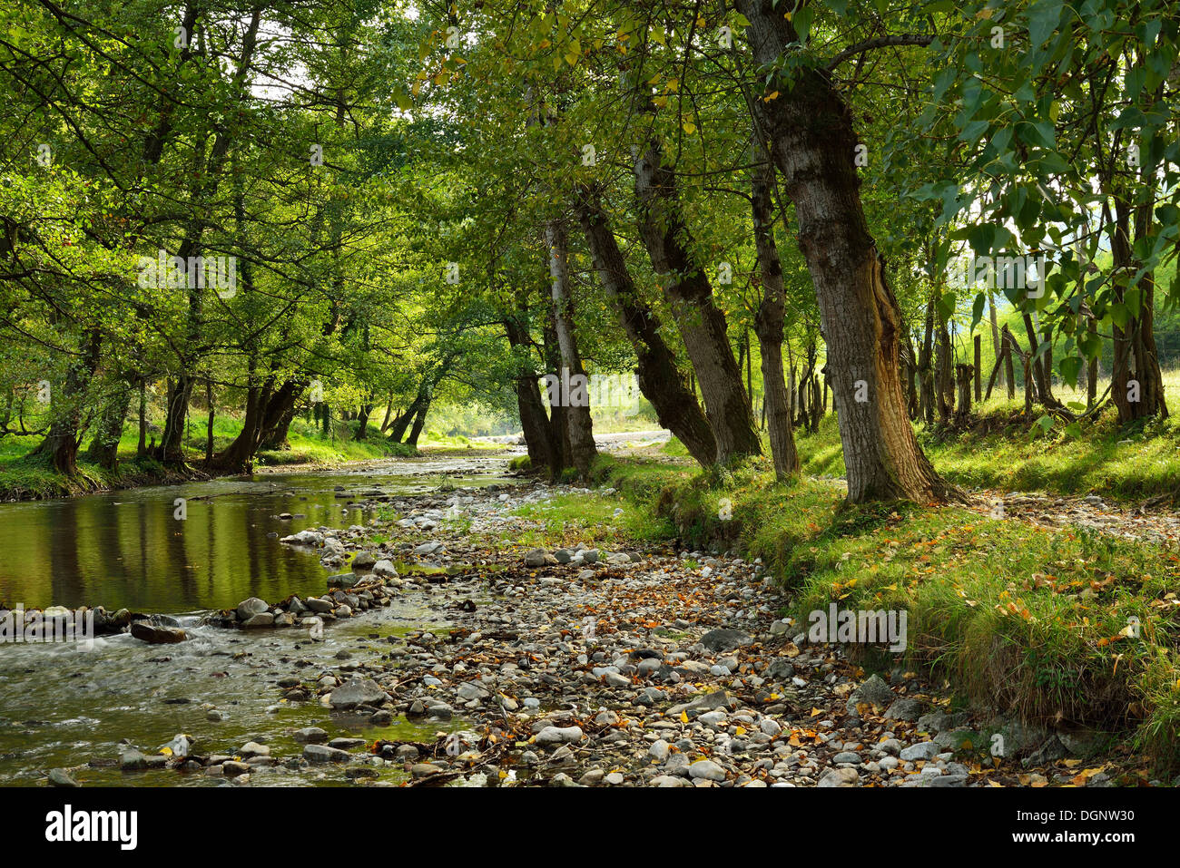 Anfang Herbst-Szene in der Landschaft mit kleinen ruhigen Fluss Stockfoto
