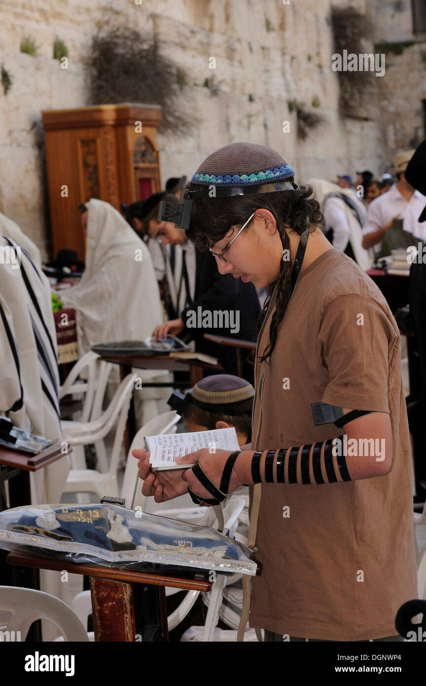 Orthodoxe jüdische Junge liest ein Gebetbuch mit einem Tefellin auf seine Vorhand und Gebetsriemen auf seinem Arm, Thora Kabinett am zurück an Stockfoto