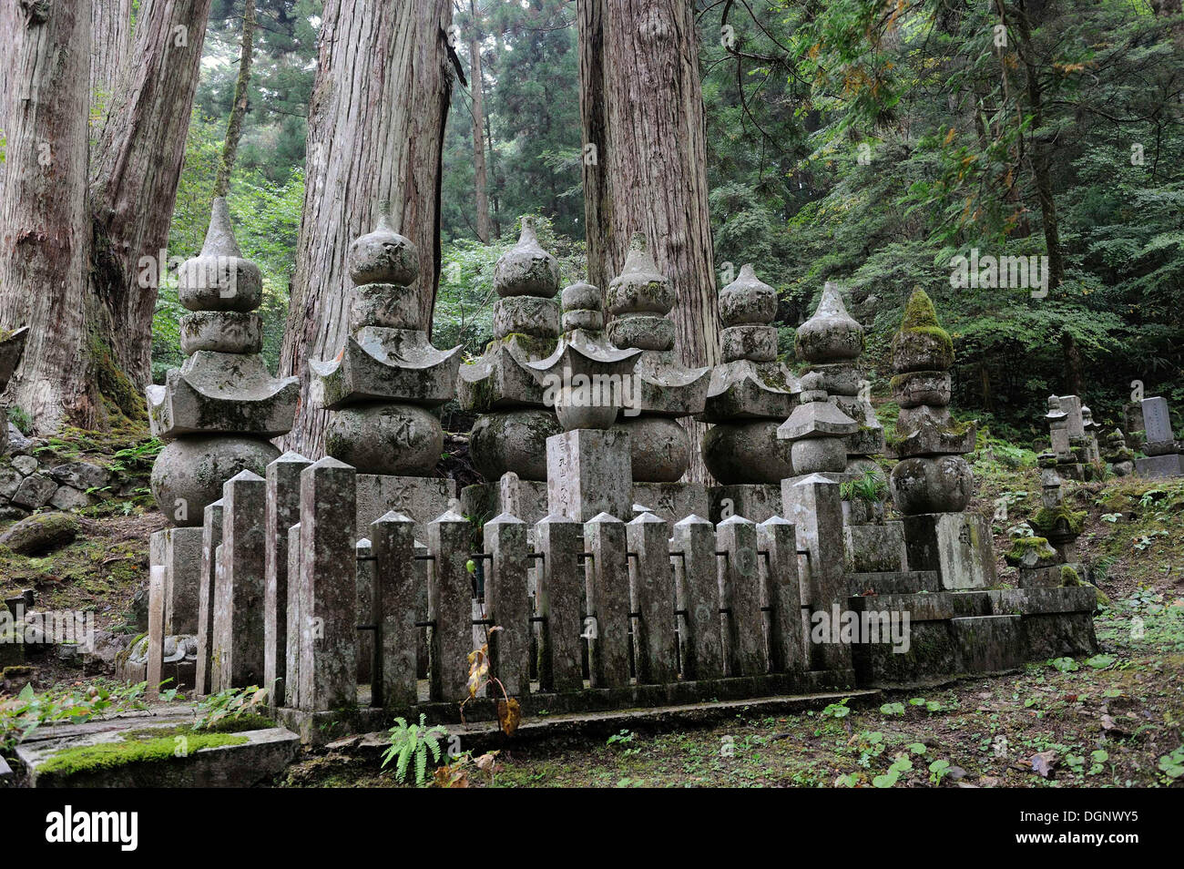 Gräber auf dem Friedhof von Koya-San, UNESCO-Weltkulturerbe, Wakayama, in der Nähe von Osaka, Japan, Ostasien Stockfoto