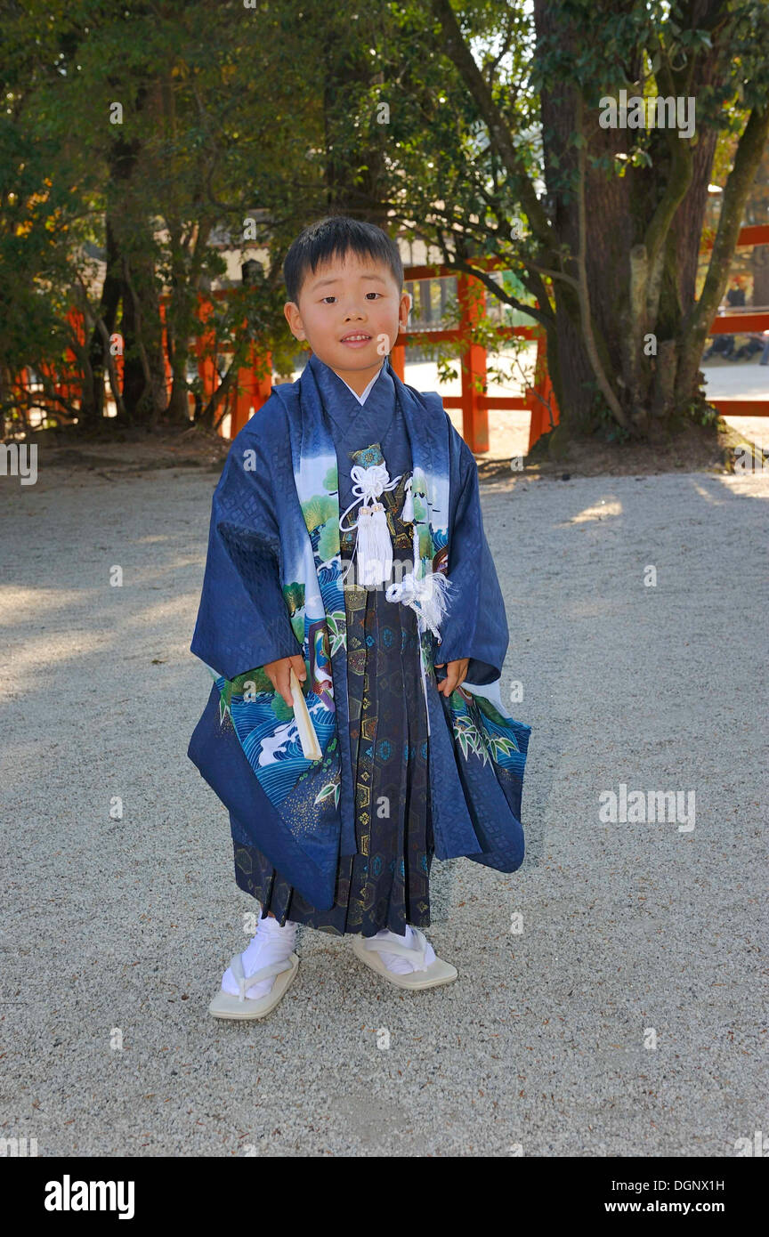 ShichiGoSan, siebenfünfdrei Festivals, junge in einem Kimono an der