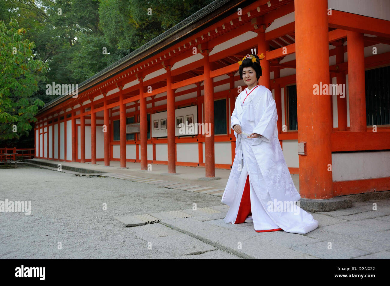 Braut in einem traditionellen Kimono mit Brokat hält ein Fan Shimogamo Jinja, Shinto-Schrein, Kyoto, Japan, Ostasien Stockfoto