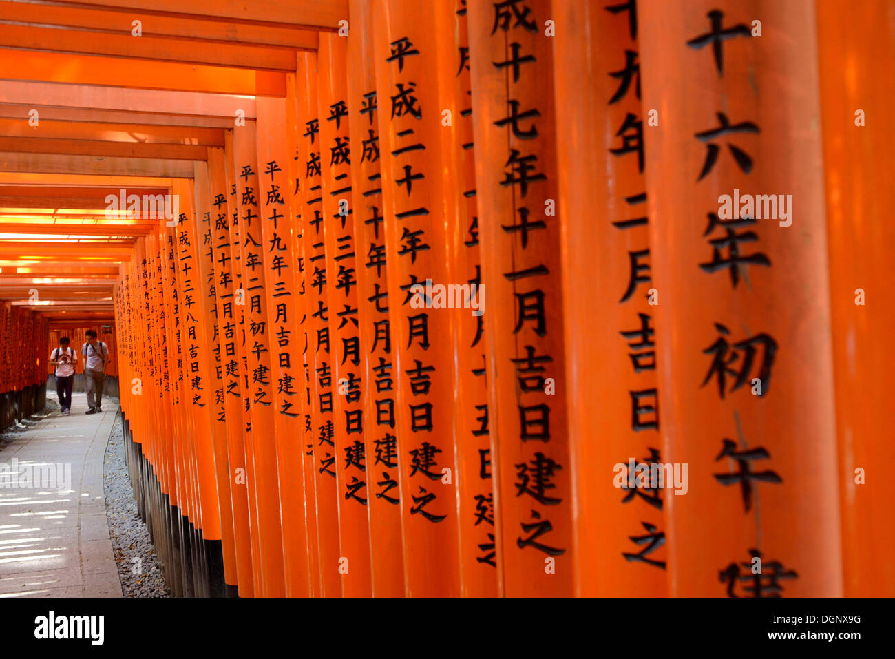 Gehweg mit Inschriften, der Torii gemacht Fushimi Inari-Taisha Shinto-Schrein, Fushimi, Kyoto, Kinki-Region, Japan Stockfoto