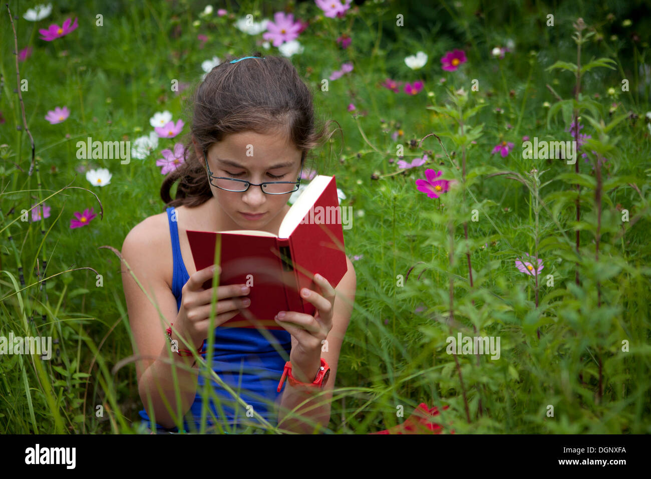 Mädchen, 11 Jahre, einem Buch sitzen in einer Blumenwiese Stockfoto