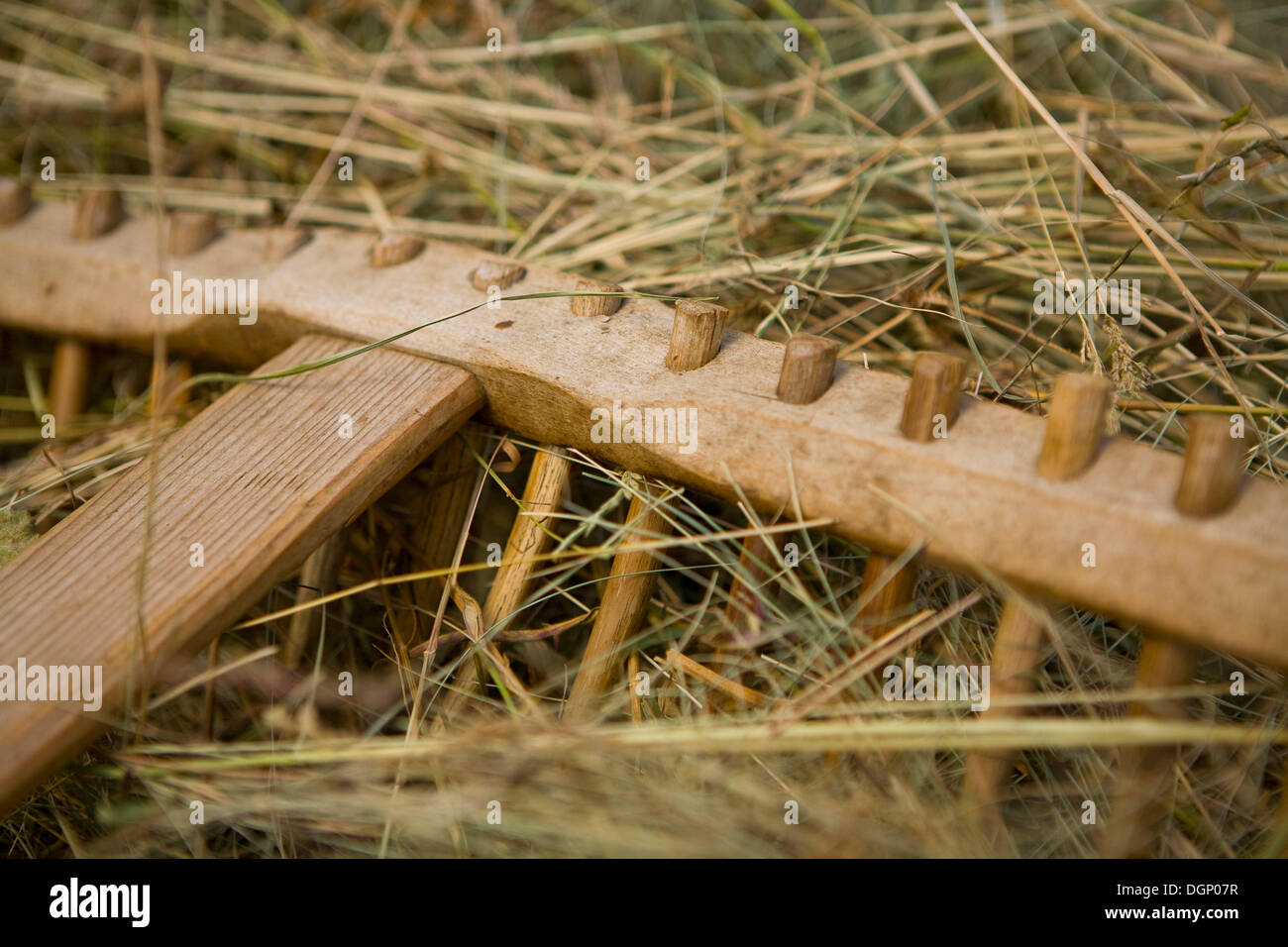 Heu-Rechen, Heuernte im Sommer Stockfoto