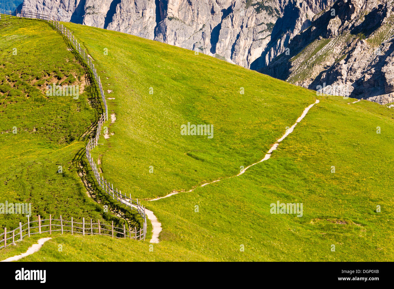 Auf Mt Zendleser Kofel über Zanser Alm, Zanser Alm, Villnoesstal oder Val di Funes-Tal, Dolomiten, Südtirol, Italien, Europa Stockfoto