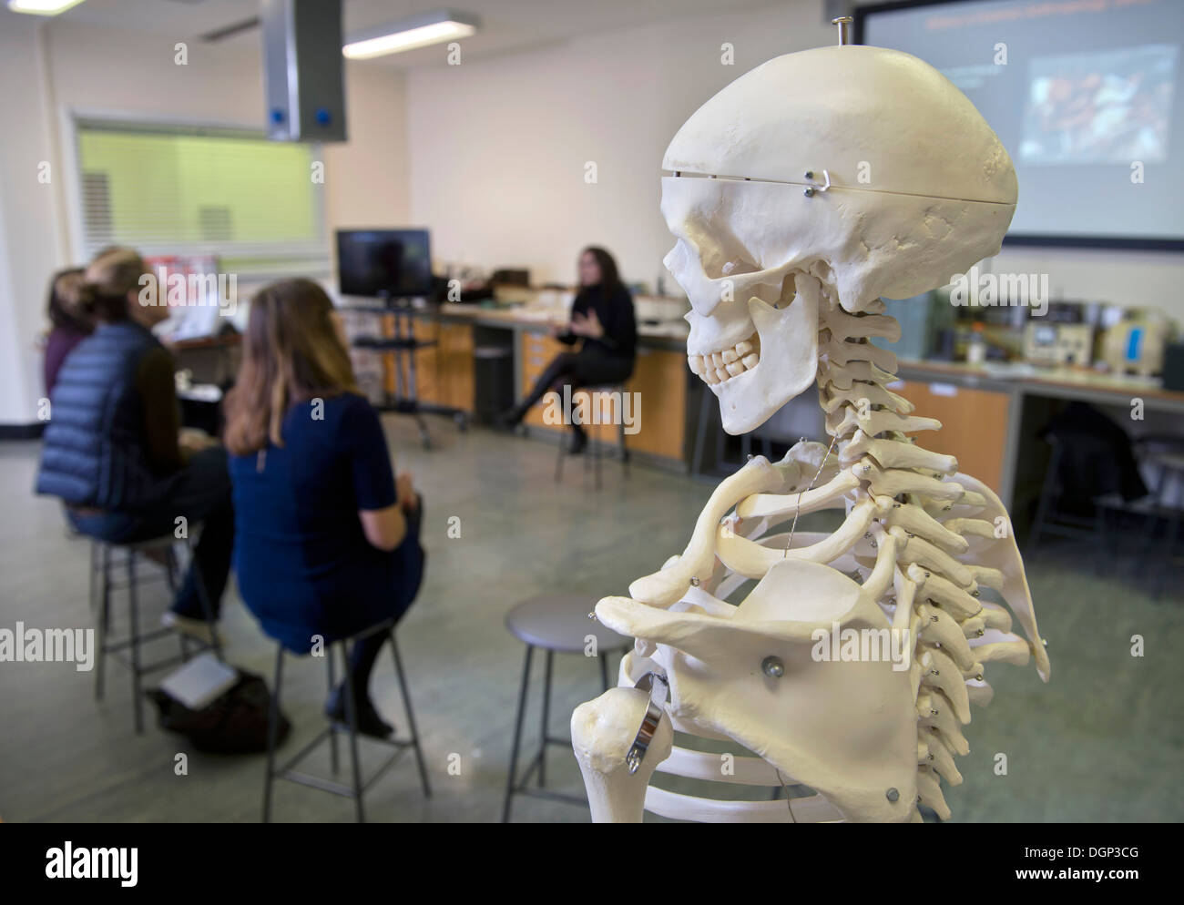 Eine forensische Anthropologin Vorlesungen für Studierende an der forensischen Institut der Cranfield University, Shrivenham in der Nähe von Swindon UK 20 Stockfoto