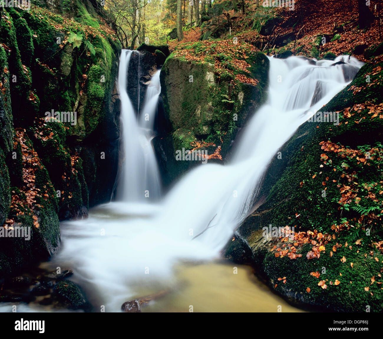 Kleine Hoellbach-Wasserfälle in der Nähe von Goerwihl, Hotzenwald Wald, Schwarzwald, Baden-Württemberg Stockfoto
