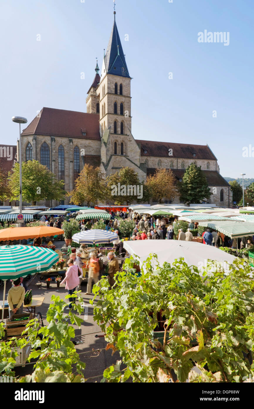 Markt vor der Kirche St. Dionys, Esslingen am Neckar, Baden-Württemberg Stockfoto