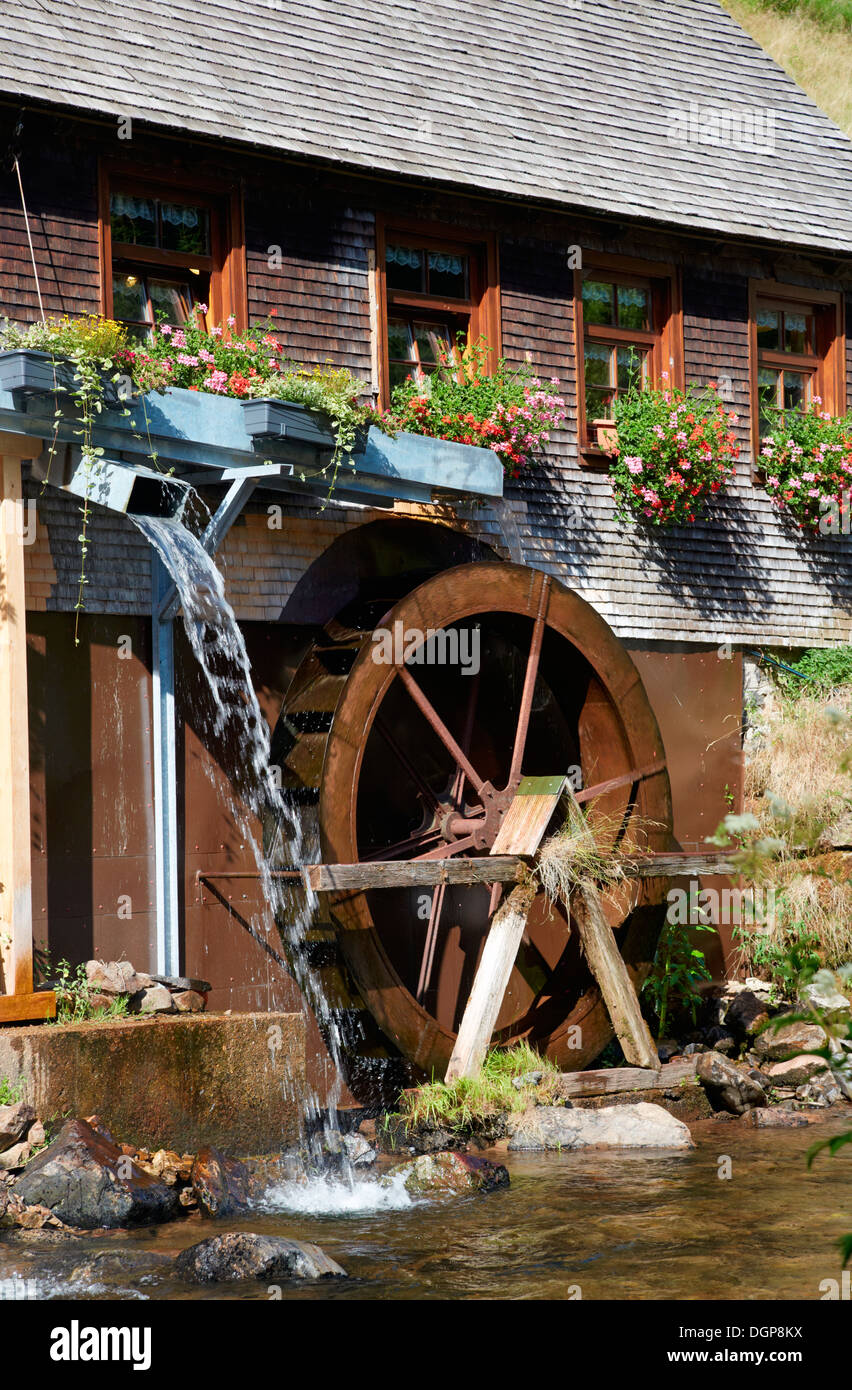 Deutschland, Baden-Württemberg, Ansicht der Wassermühle im Schwarzwald Stockfoto