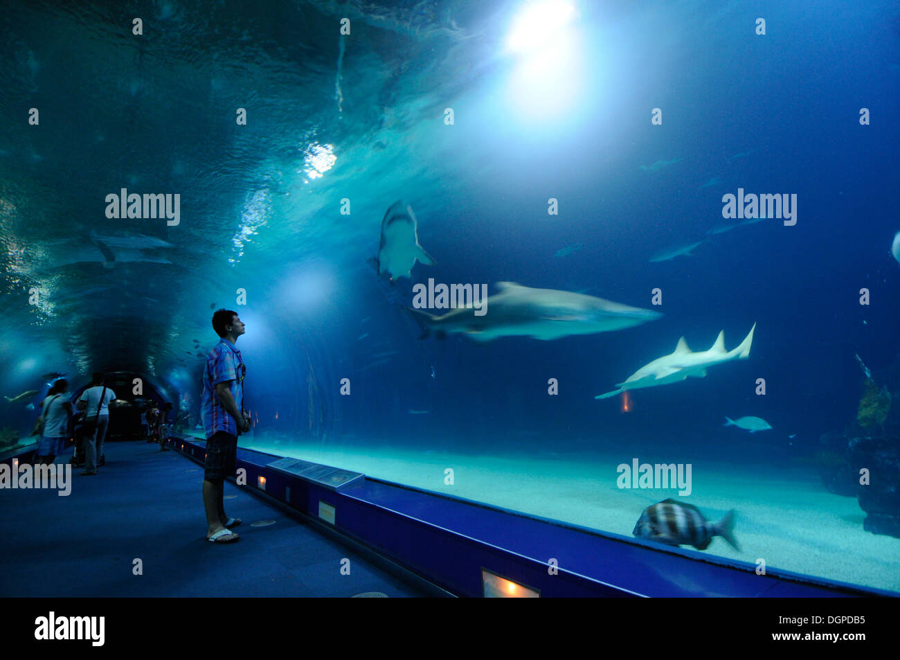 L'Oceanogràfic, befindet sich ein Marine Park in der Stadt der Künste und Wissenschaften von Valencia, Spanien. Stockfoto