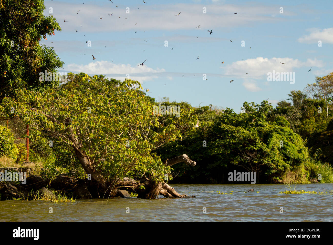 Inseln von Granada, Nicaragua. Stockfoto