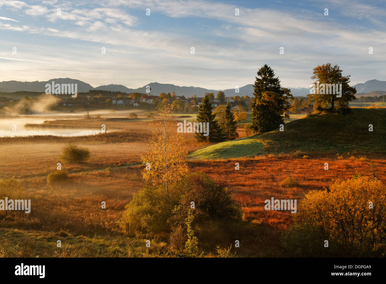 Landschaft in der Nähe der Seen Osterseen, Iffeldorf in den frühen Morgenstunden, im Herbst, Alpenvorland, Fuenfseenland region Stockfoto