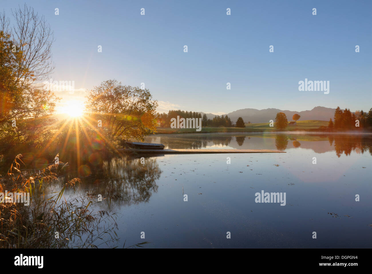 Sonnenaufgang am Huttlerweiher Teich, Gemeinschaft von Rosshaupten, Ostallgaeu, Allgäu, Schwaben, Bayern Stockfoto