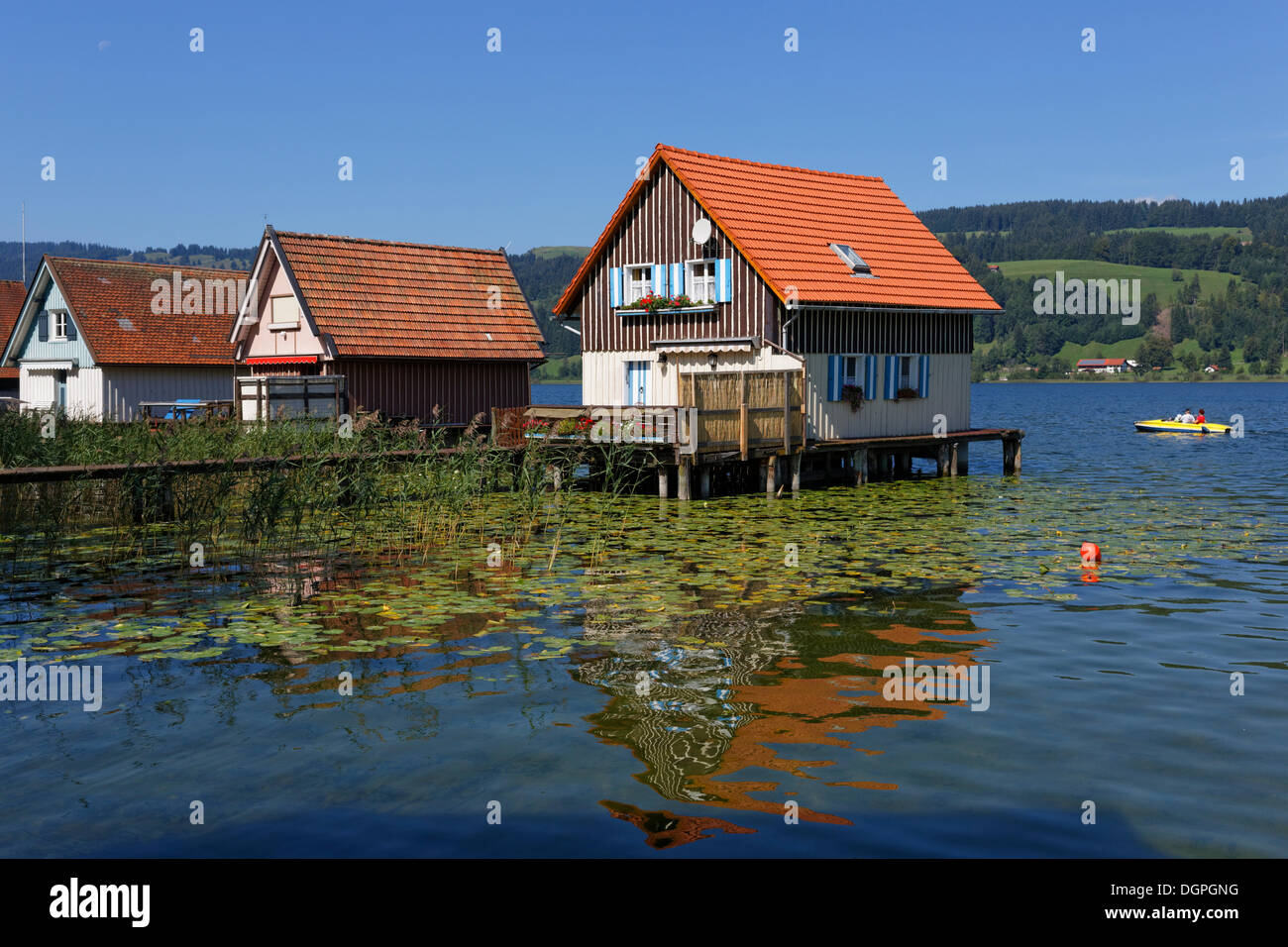 Bootshäuser, Grosser Alpsee See in Buehl, Gemeinde Immenstadt Oberallgaeu, Allgäu, Schwaben, Bayern, PublicGround Stockfoto Bootshäuser, Grosser Alpsee See in Buehl, Gemeinde Immenstadt Oberallgaeu, Allgäu, Schwaben, Bayern, PublicGround Stockfoto