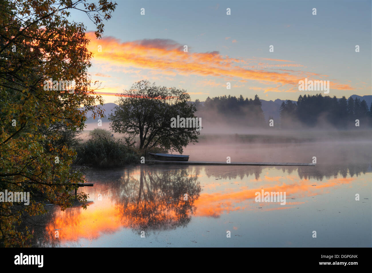 Am frühen Morgen Stimmung bei Huttlerweiher, Gemeinde von Rosshaupten, Ostallgaeu, Allgäu, Schwaben, Bayern Stockfoto