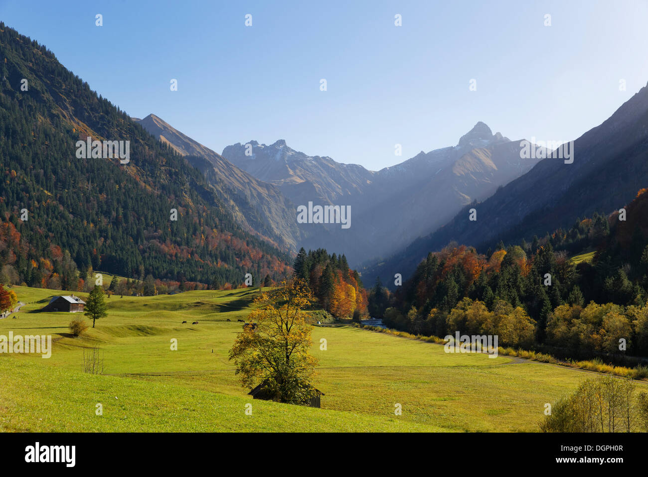 Trettach Tal mit Maedelegabel Berg, Oberstdorf, Oberallgäu, Allgäu, Allgäuer Alpen, Schwaben, Bayern, Deutschland Stockfoto