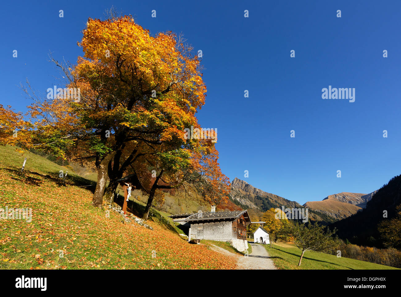 Gerstruben im Herbst, Oberstdorf, Oberallgäu, Allgäu, Allgäuer Alpen, Schwaben, Bayern, Deutschland Stockfoto