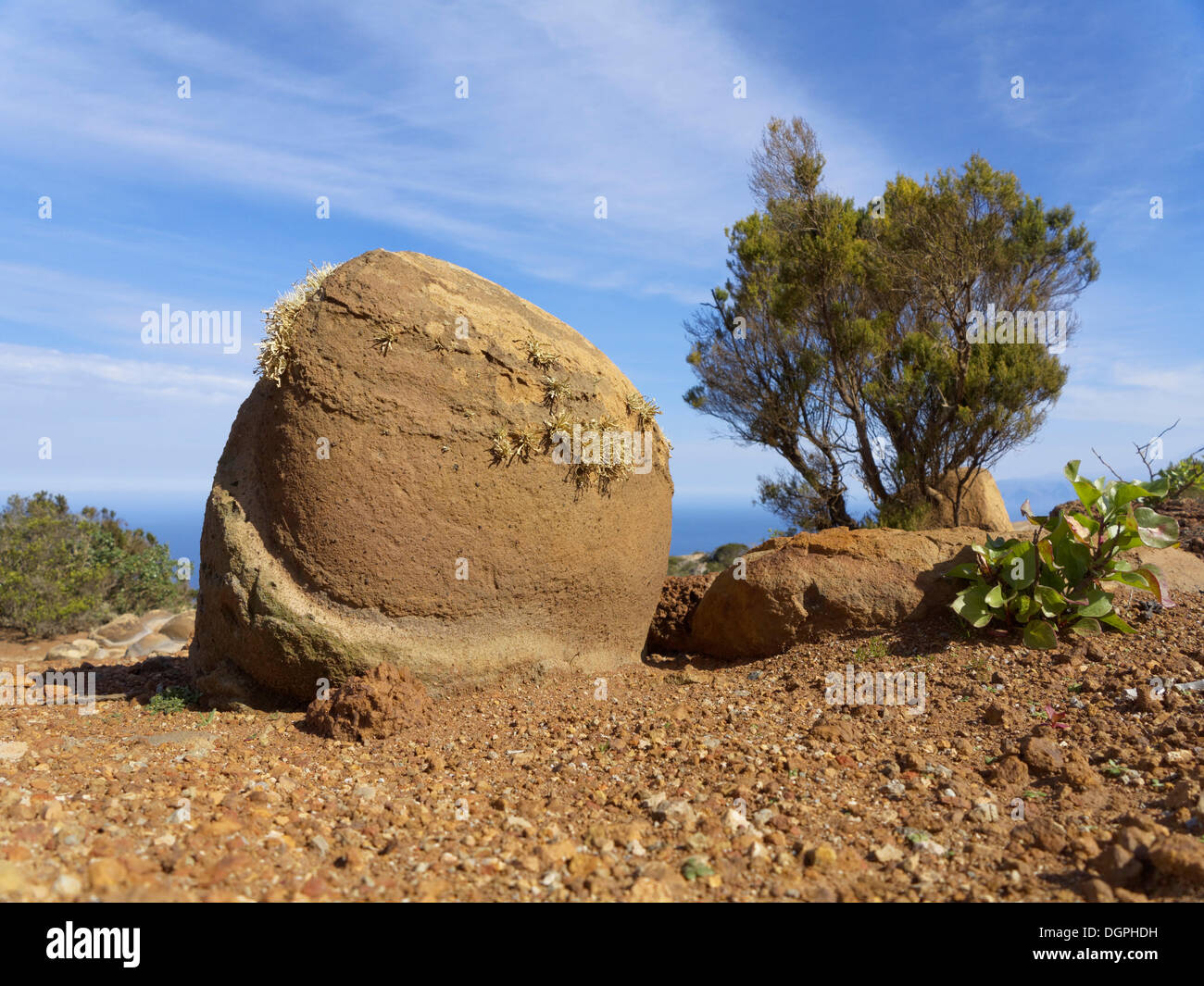 Rock, Cumbre de Chijere, Vallehermoso, La Gomera, Kanarische Inseln, Spanien Stockfoto