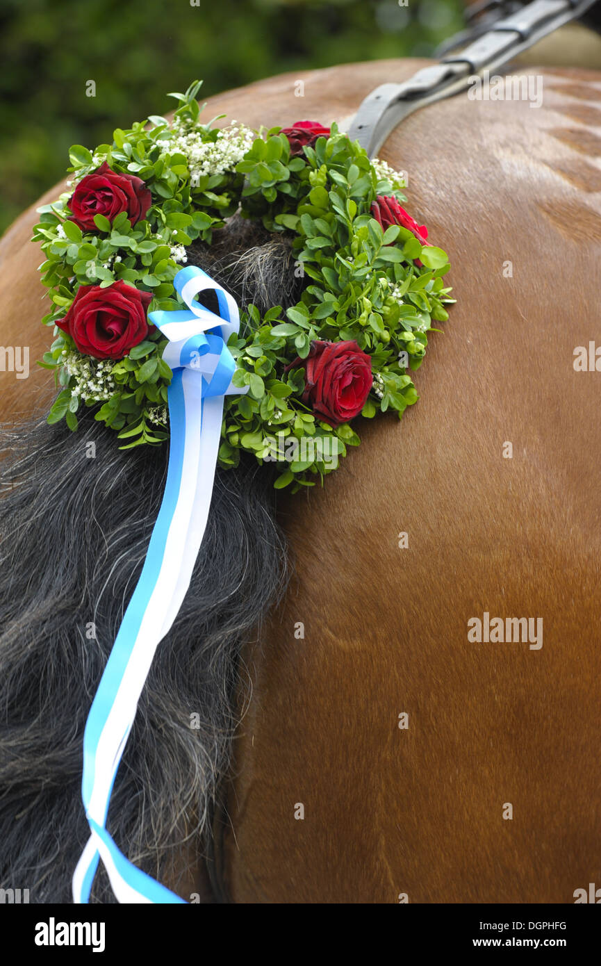 Pferd-Tail dekoriert Stockfoto