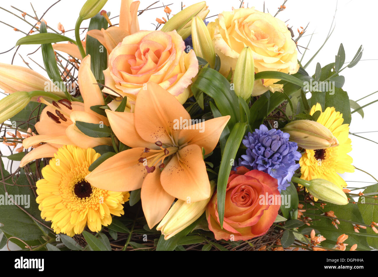 Blumen Stockfoto