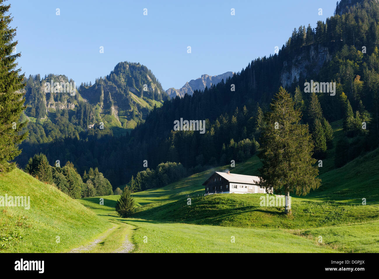 Landschaft in Schoenenbach Tal Tal, Vorsäß, Bregenzerwald, Bregenzer Wald, Vorarlberg, Österreich Stockfoto