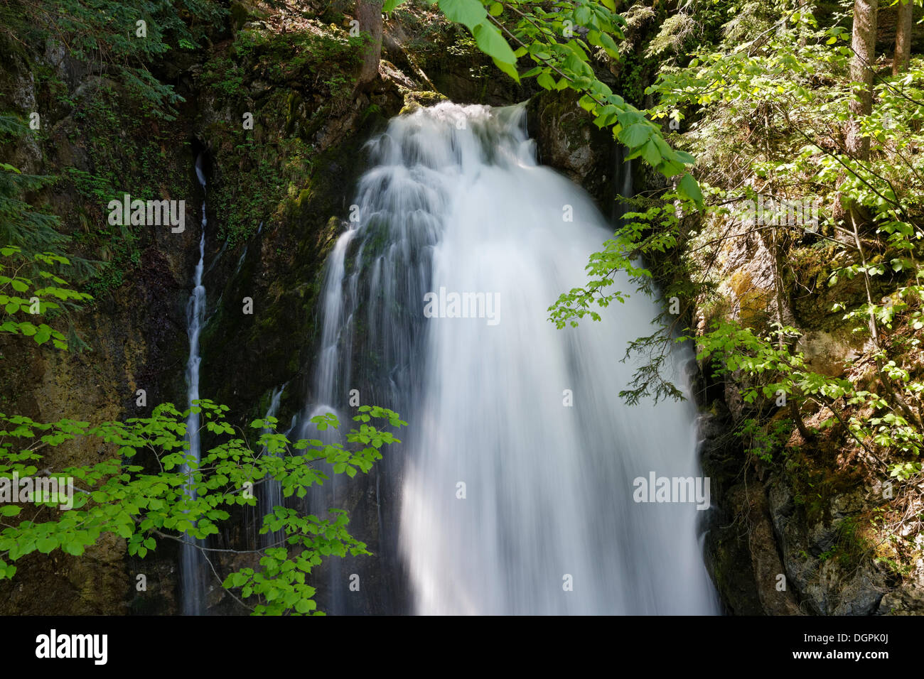 Gollinger Wasserfall, Golling, Hallein Bezirk, Bundesland Salzburg, Österreich Stockfoto