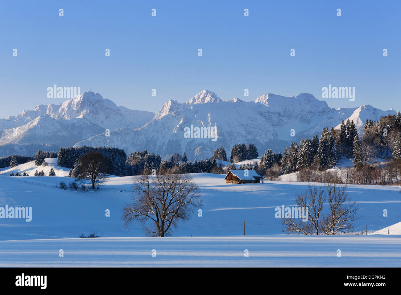 Winterliche Landschaft mit Bergen Tannheim, Tannheimer Berge, Roßhaupten, Ostallgäu, Allgäu, Schwaben, Bayern, Deutschland Stockfoto