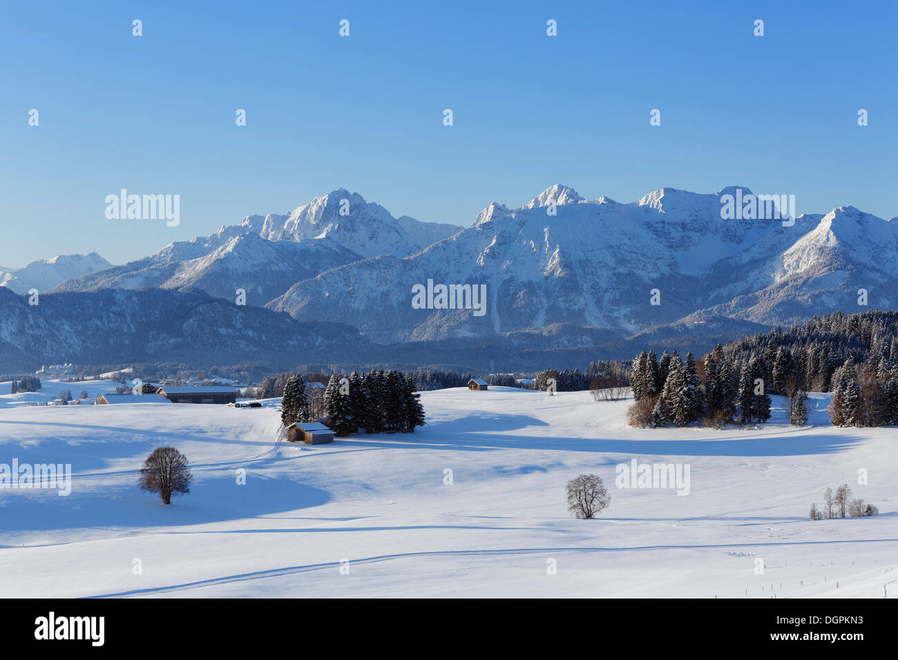 Winterliche Landschaft mit Bergen Tannheim, Tannheimer Berge, Ussenburg, Roßhaupten, Ostallgäu, Allgäu, Schwaben, Bayern Stockfoto