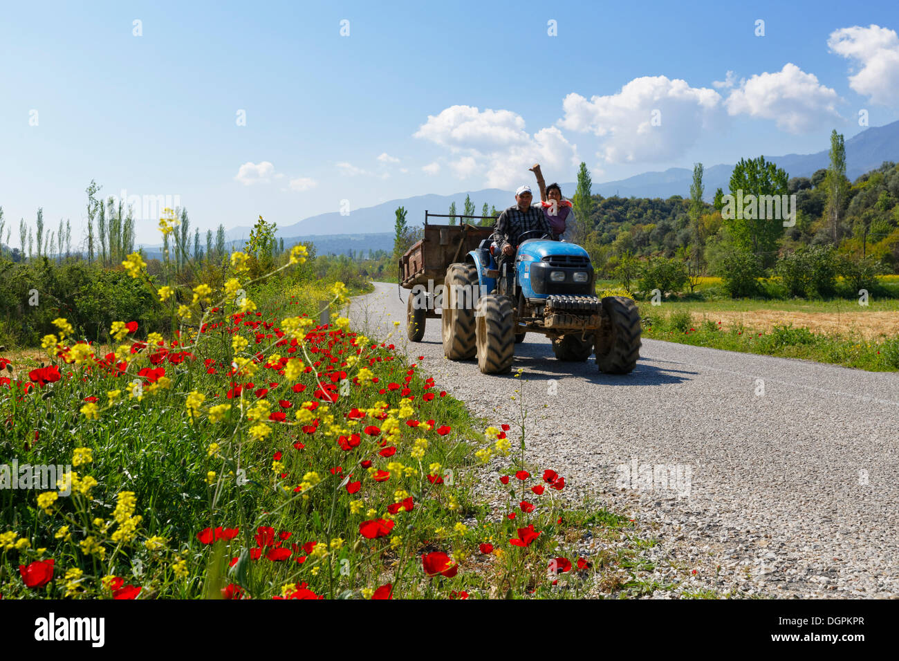 Traktor fahren auf einem Land Straße, Yenice, Aydin Provinz, Ägäis, Türkei Stockfoto