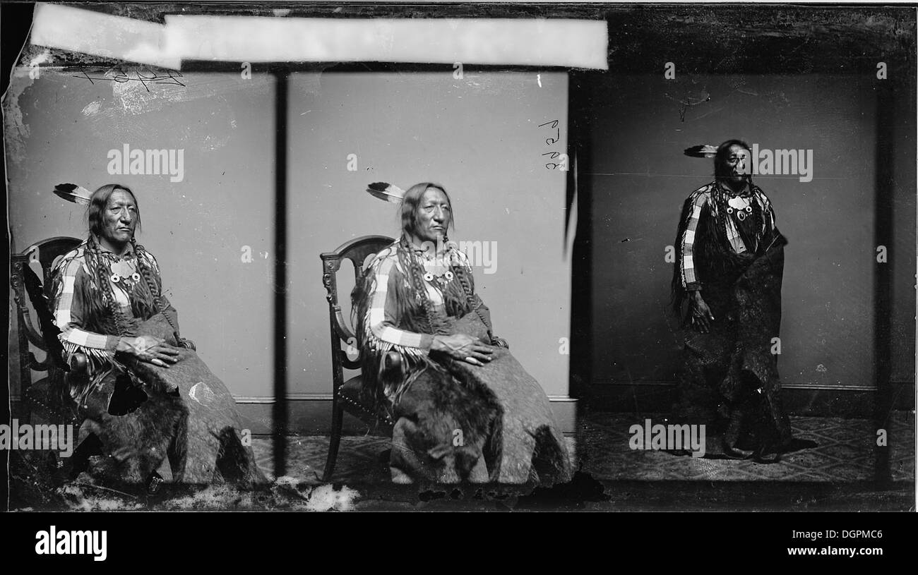 Der indische gefleckte Leopard, eine einheimische Wildkatze auf dem indischen Subkontinent, ist bekannt für sein markantes Fell mit rosettenartigen Mustern. Diese Unterart ist ein wichtiges Raubtier in ihrem Lebensraum, das häufig in bewaldeten Gebieten und Grünland vorkommt. Er ist sehr anpassungsfähig und ein geschickter Jäger, der typischerweise eine Vielzahl von Tieren wie Hirsche und kleinere Säugetiere bejagt. Stockfoto