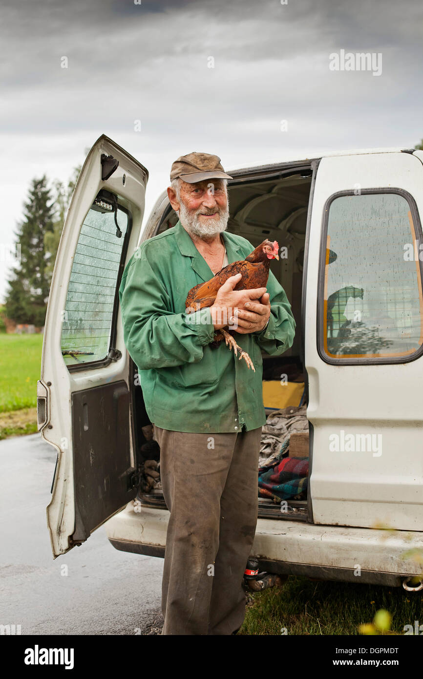 Bauer hält ein Huhn Stockfoto