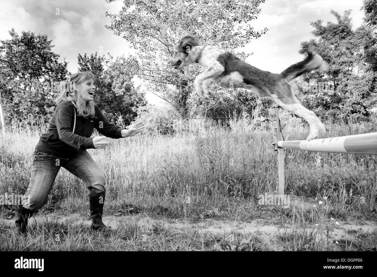 Hund springt von einem Boom-Barriere in die Arme seines Trainers stehen mit offenen Armen, um es zu fangen Stockfoto
