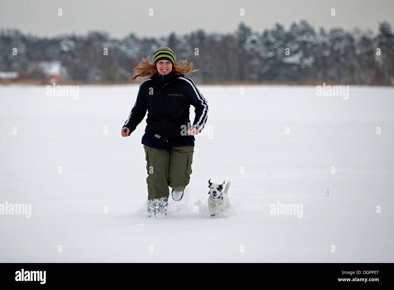 Frau mit einem kleinen Hund durch tiefen Schnee laufen Stockfoto